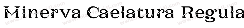 Minerva Caelatura Regular字体转换